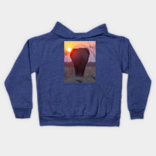 African Elephant in the sunset in Botswana Kids Hoodie